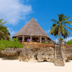 Pažintinė kelionė į Transilvaniją