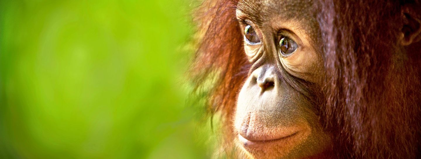 Estravel kelionių agentūra